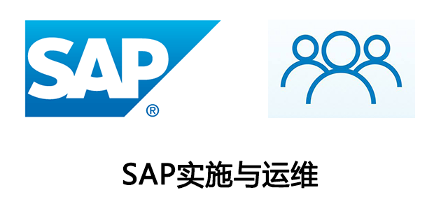 SAP的实施与运维该怎么选？