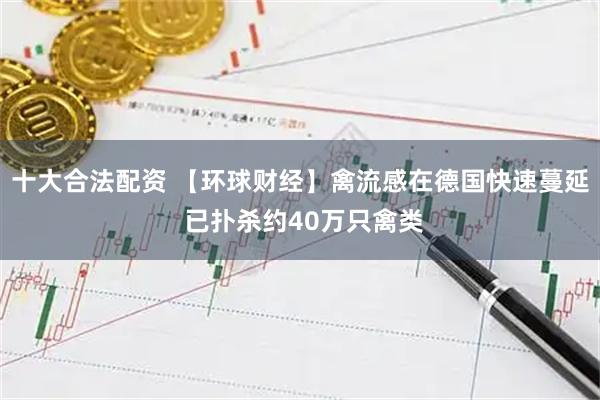 十大合法配资 【环球财经】禽流感在德国快速蔓延 已扑杀约40万只禽类