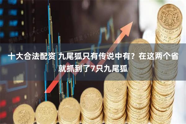 十大合法配资 九尾狐只有传说中有？在这两个省就抓到了7只九尾狐