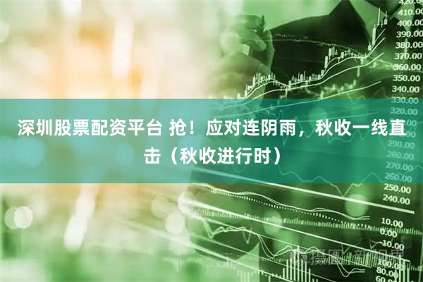 深圳股票配资平台 抢！应对连阴雨，秋收一线直击（秋收进行时）