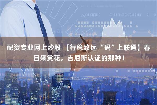 配资专业网上炒股 【行稳致远 “码”上联通】春日来赏花，吉尼斯认证的那种！
